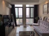 綠地藍海+精裝交付+一手房無中介費+可返租可自主+全款免息分期