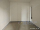 臨近長江，一線江景房，毛坯三居室，證滿兩年，隨時(shí)看房